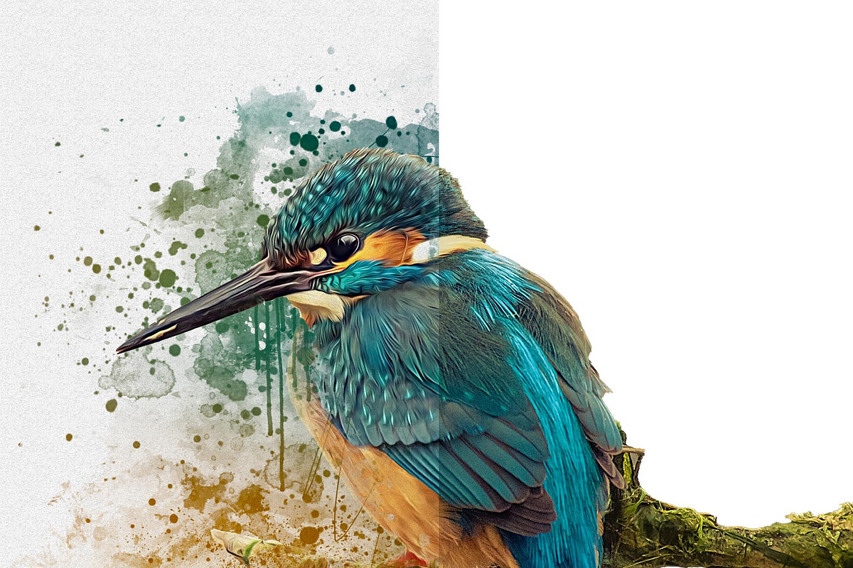 Watercolor Bird Painting Effect, an Action Add-On by Photoshop Action (Photo 14 of 21)