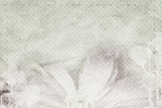Wedding Background Texture, a Texture Graphic by Backgrounds Store (Thumbnail 3 of 3)