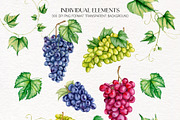 Wine Stories watercolor illustration, a Food Illustration by CrystalinaShop (Thumbnail 5 of 11)