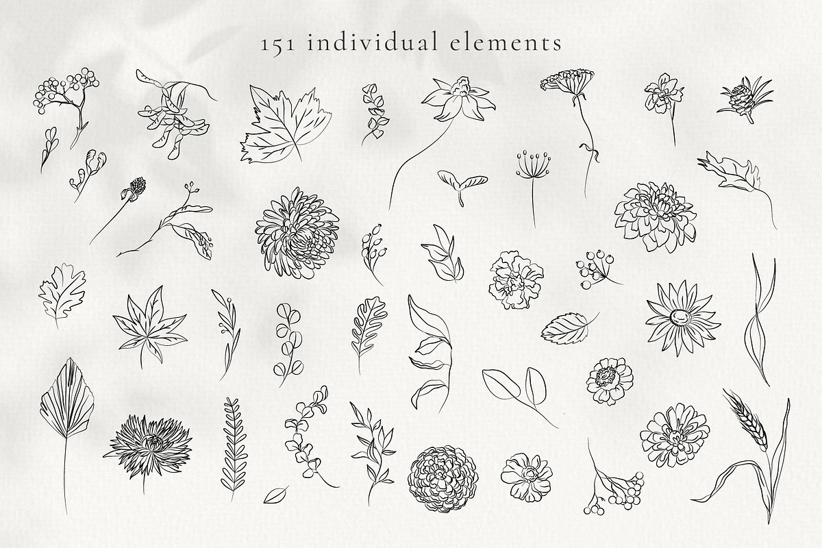 Autumn Botanicals Line Art Clipart, a Decorative Illustration by La Petite Line Art (Photo 4 of 14)