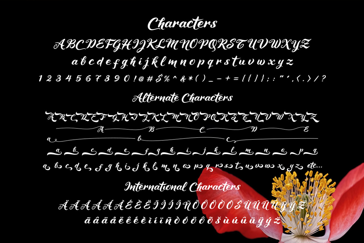 Maheera Font, a Script Font by cove703 (Photo 11 of 12)
