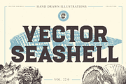VECTOR SEASHELL HAND DRAWN BUNDLE 22, an Illustration by pawellpi (Thumbnail 1 of 10)