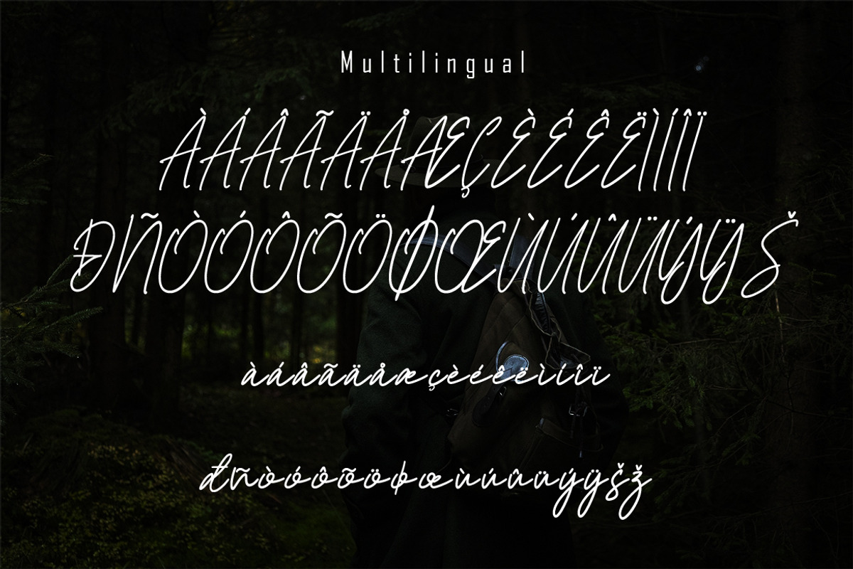 Francos Signature - Stylish Monoline, a Script Font by skiiller studio (Photo 6 of 8)