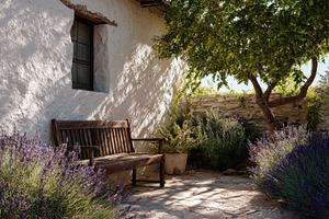 Rustic bench in a lavender garden, a Photo by Beautiful things