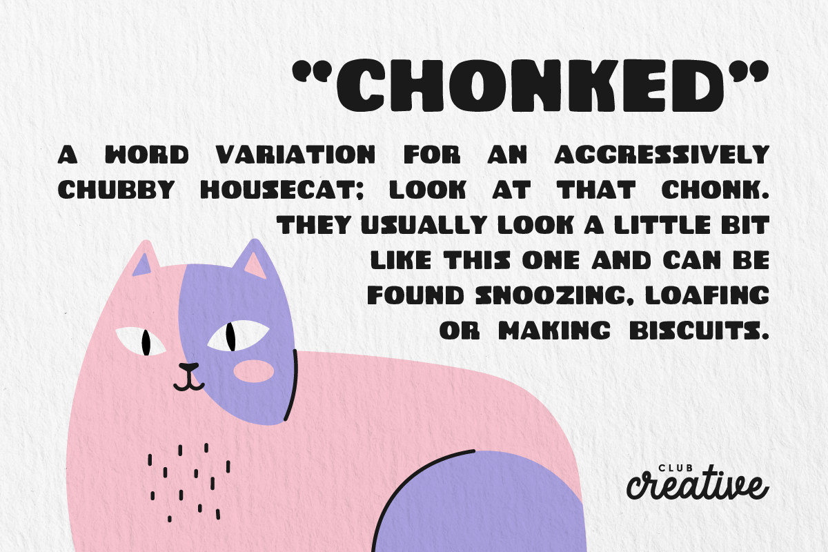 CC-Chonked by Club Creative, a Sans Serif Font by ClubCreativeLtd (Photo 4 of 4)