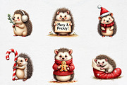 Christmas Cute Hedgehog Clipart, an Illustration by CrexoraLab (Thumbnail 5 of 5)