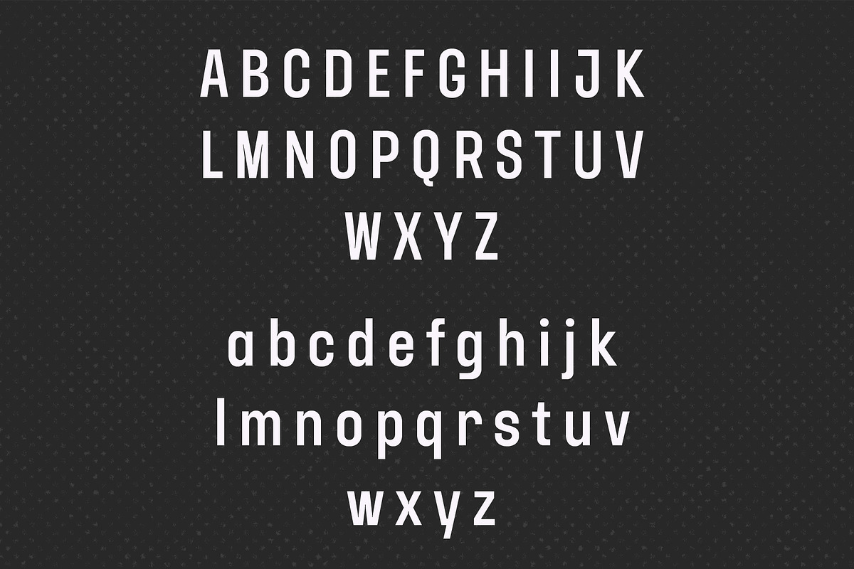 YNF Dustin | Condensed sans serif, a Sans Serif Font by YNF (Photo 3 of 26)