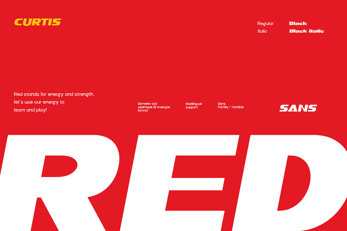 DV Curtis Sans, a Sans Serif Font by Damelev (Photo 2 of 18)