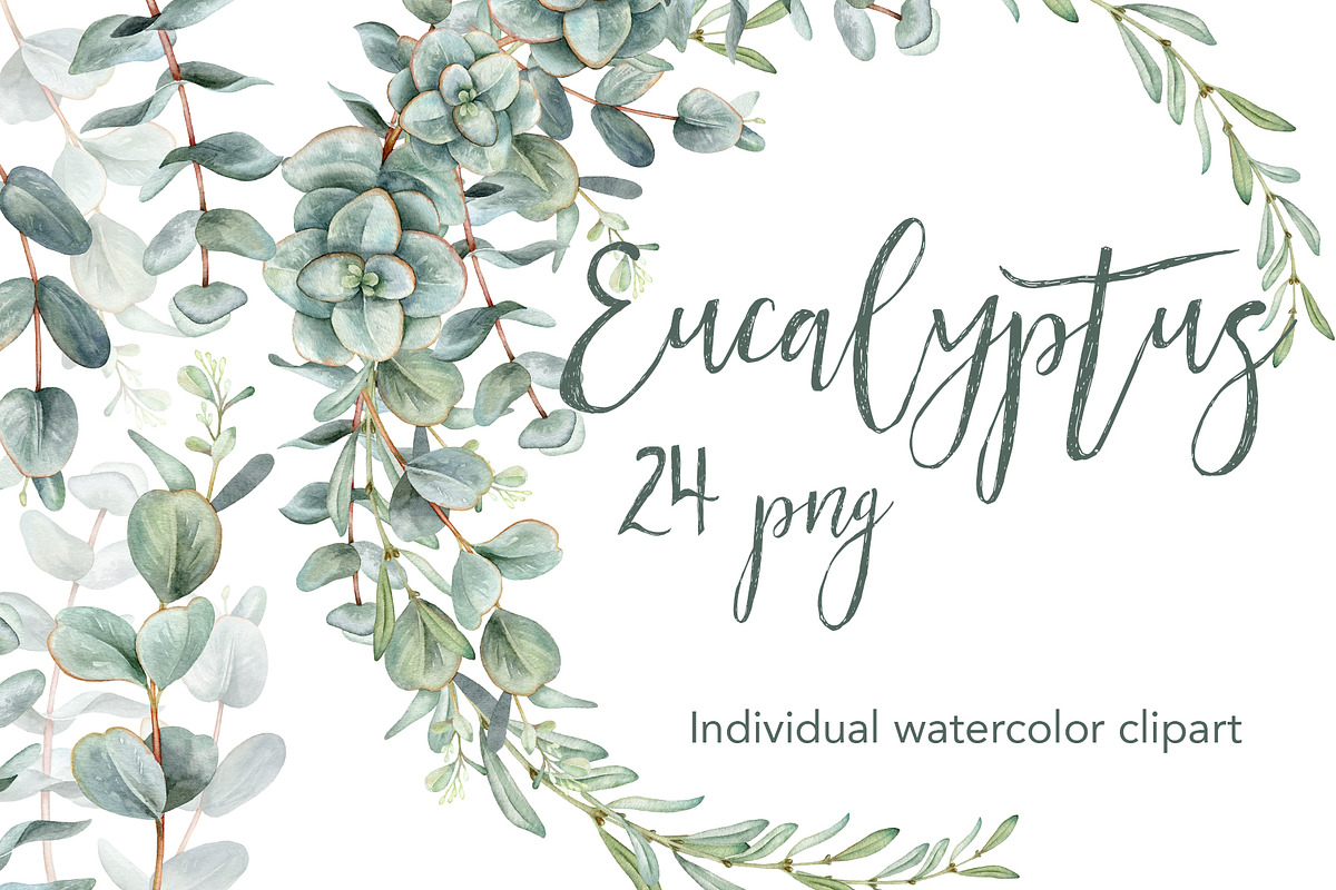 Watercolor Eucalyptus clip art., a Decorative Illustration by Mary (Photo 1 of 4)