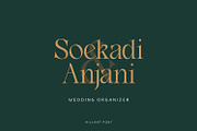 Hillant - Elegant Condensed Serif, a Serif Font by Dikas Studio (Thumbnail 7 of 9)