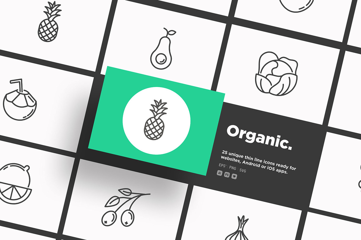 Organic | 25 Thin Line Icons, an Outline Icon by Alex Blogoodf (Photo 14 of 15)