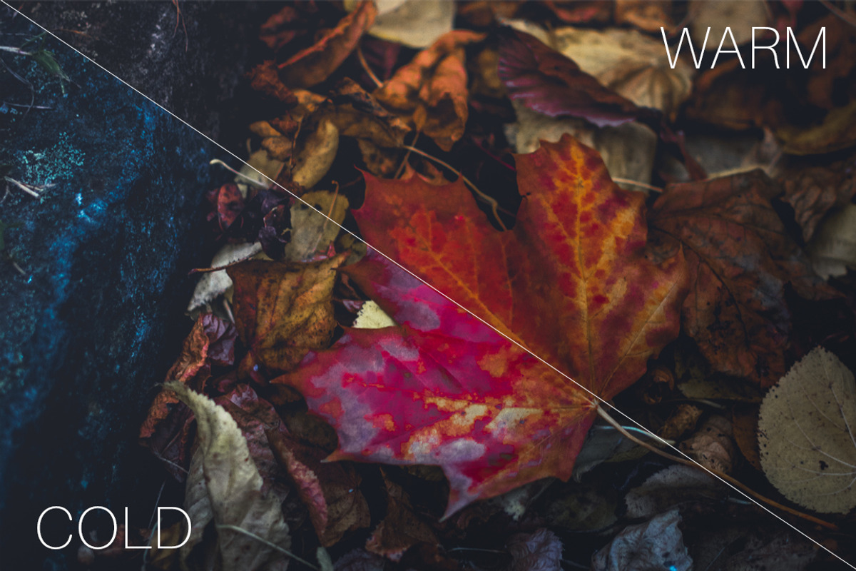 Autumn Vibes - Lightroom Presets preview 7
