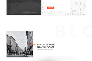 Vanzer Portfolio Website Template