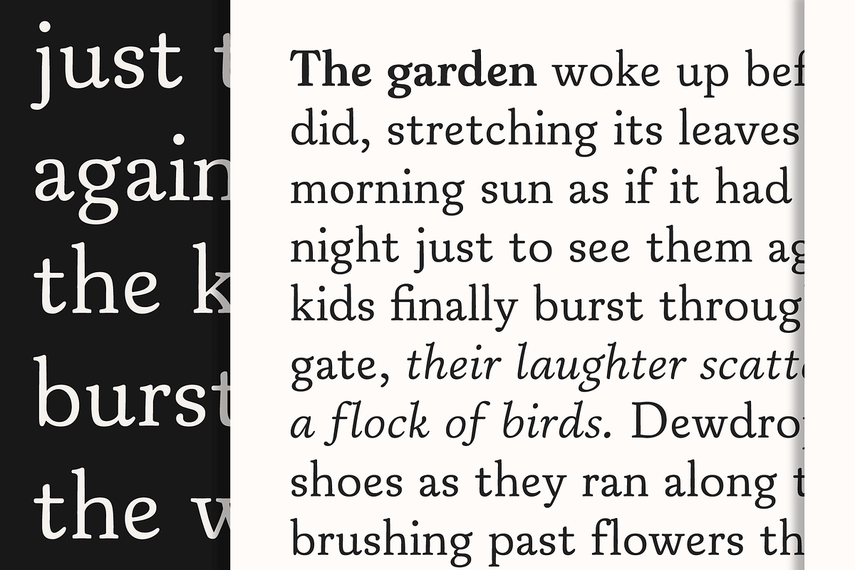 Papois; 12 Humanist Serif Fonts, a Serif Font by Eko Bimantara (Photo 4 of 10)