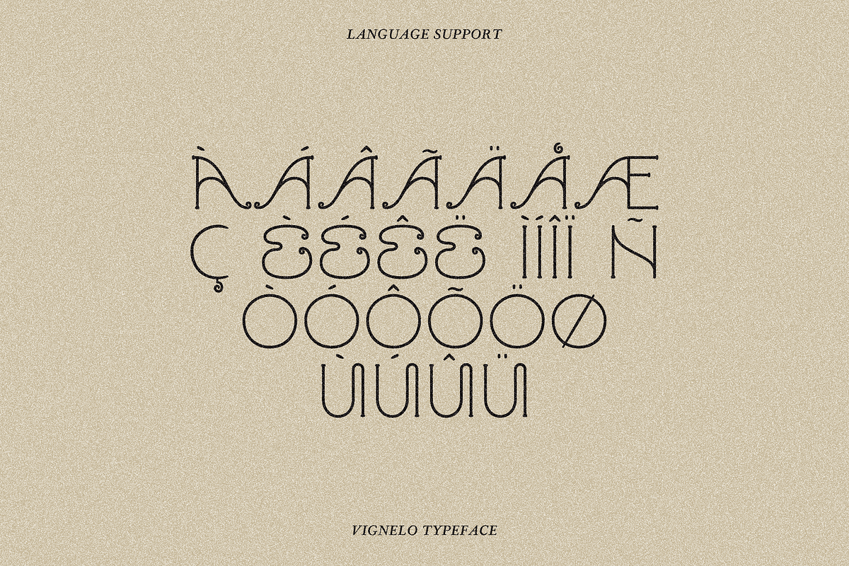 VIGNELO Typeface, a Serif Font by Few & Fahr Studio (Photo 9 of 9)
