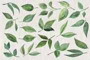 Leaves and Branches, an Object Graphic by Tiger and Flower (Thumbnail 4 of 7)