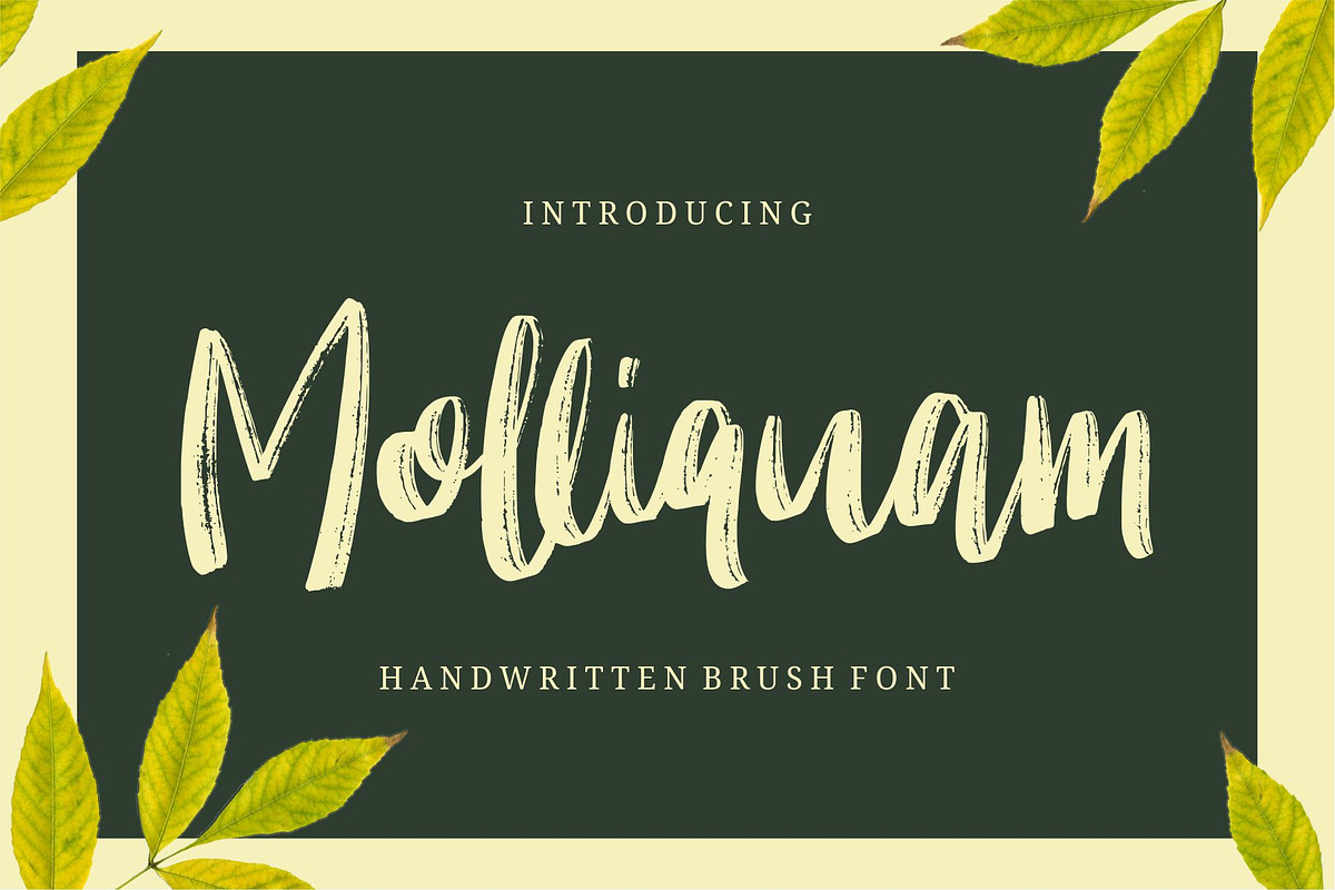 Molliquam - Handwritten Font, a Script Font by Garisman Std (Photo 1 of 8)