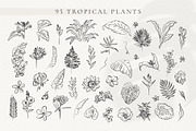 Line Art Tropical Flowers & Leaves, a Decorative Illustration by La Petite Line Art (Thumbnail 2 of 12)