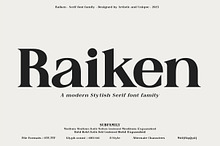 Raiken - Serif font family