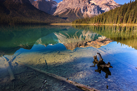 Emerald lake banff canada featuring park, reflection, and nature, a Nature Photo by Always Wanderlust
