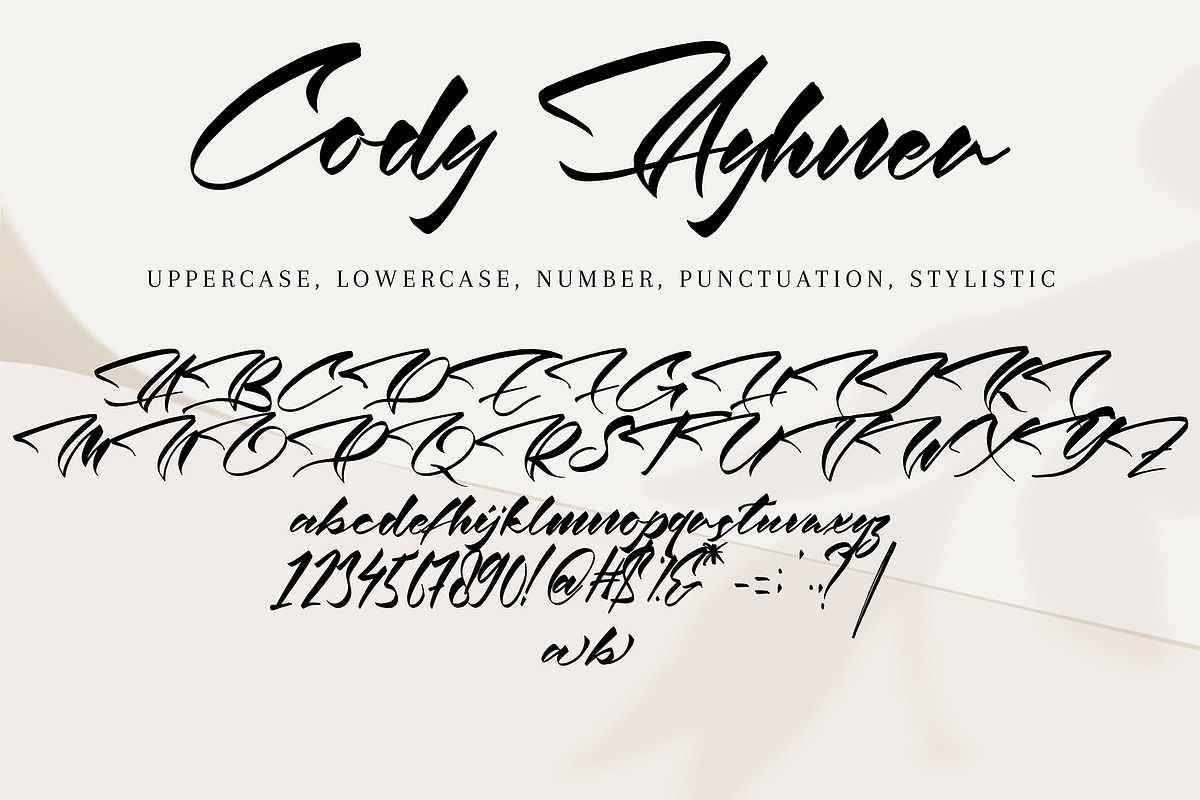 Cody Ayhmer, a Handwritten Font by HaKi Studio (Photo 2 of 5)