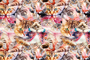 Not Yoga Cats, an Animal Illustration by TheCuteShop (Thumbnail 16 of 17)