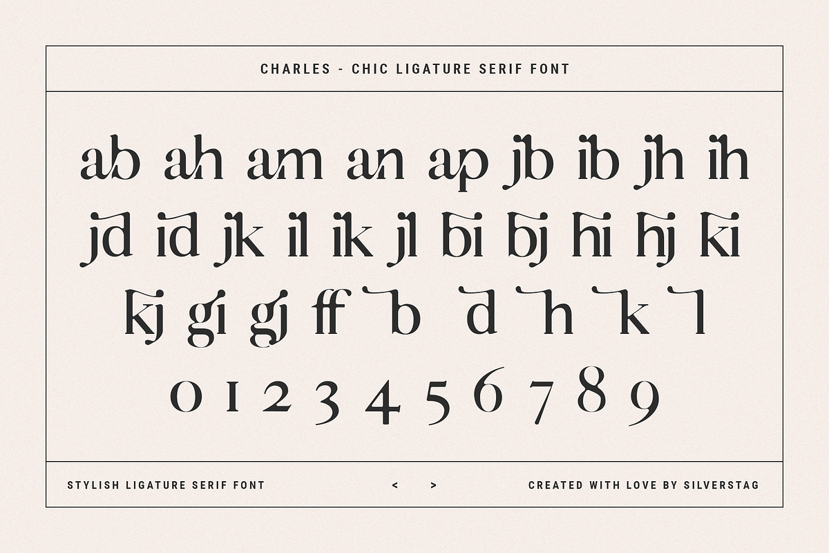 Charles - Chic Ligature Serif Font, a Serif Font by SilverStag Type Foundry (Photo 25 of 31)