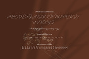 Delyra Script - Modern Signature, a Script Font by RHD Creative Studio (Thumbnail 11 of 12)