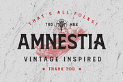 Amnestia Typeface with Extra, a Serif Font by Arterfak Project (Thumbnail 16 of 16)