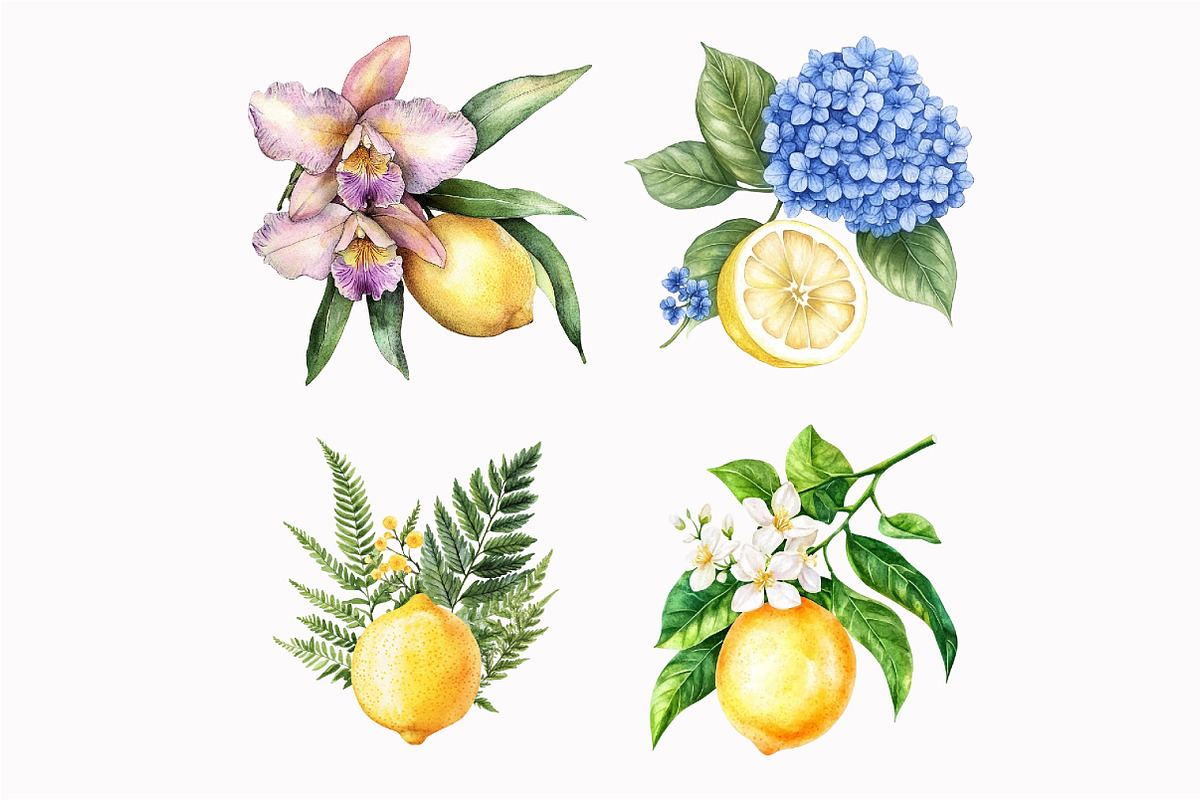 Watercolor Lemon Floral Clipart, an Illustration by Design Market (Photo 4 of 4)