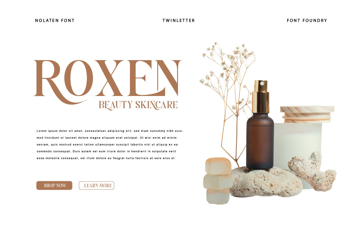 Nolaten - Serif Display Font, a Serif Font by twinstd (Photo 6 of 10)