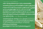 Kinetic Anthem Modern Handbrush Font, a Script Font by stylishtype.co (Thumbnail 19 of 20)