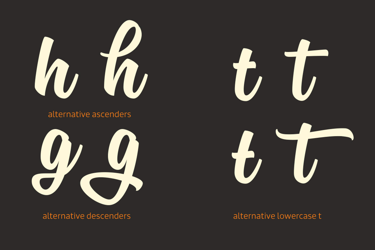 Sanelma, a Script Font by Mika Melvas (Photo 9 of 11)