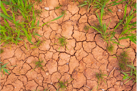 Cracked earth, metaphoric for, an Abstract Photo by Lukas Jonaitis SHOP