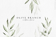 Olive branch watercolor illustration, an Illustration by Angele Kamp (Thumbnail 12 of 13)
