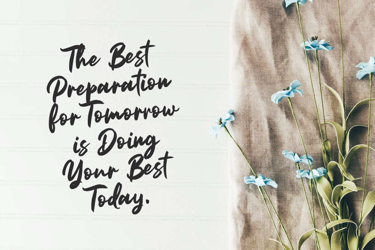 Forrest - Brush Font preview 7