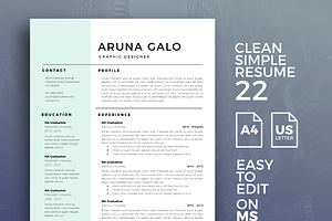 Resume Template 22