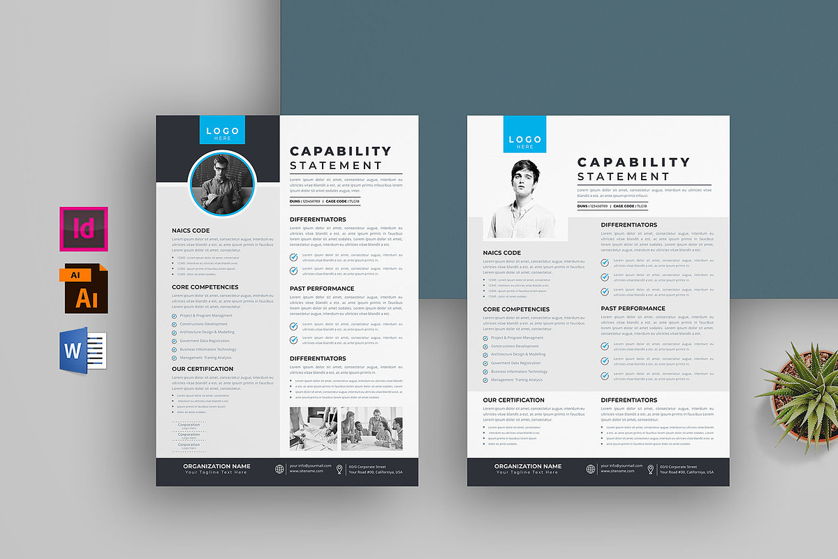 Capability Statement Bundle preview 3