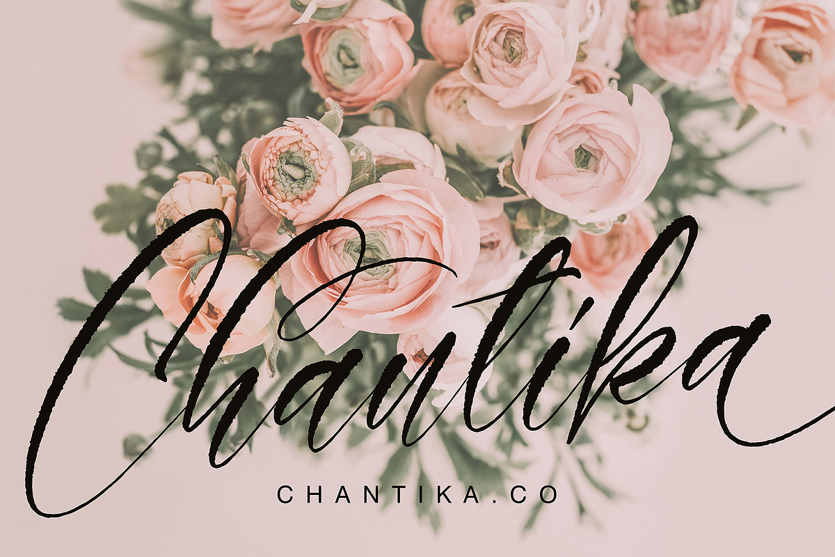 Shantyka preview 8