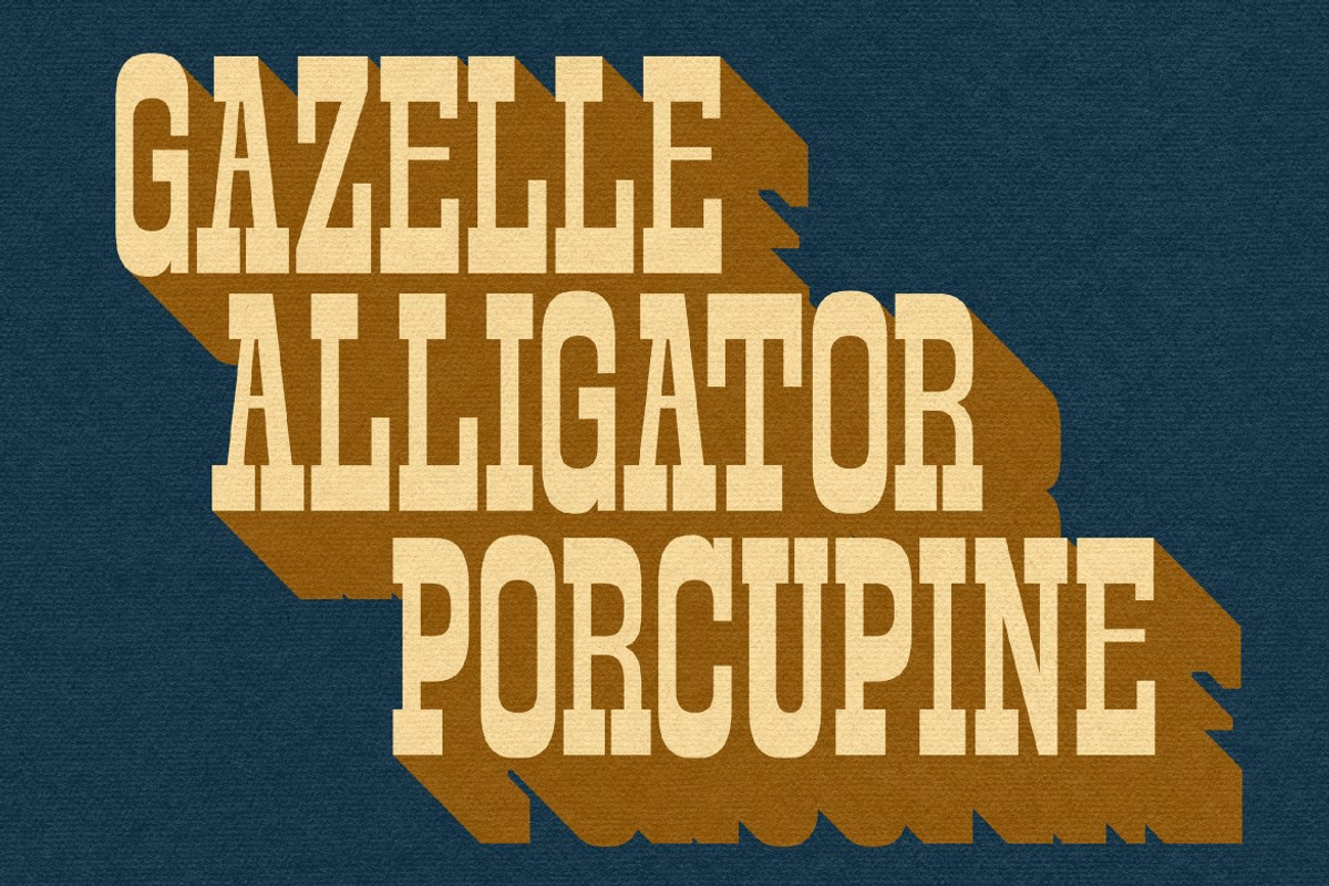 Slabrity, a Slab Serif Font by graphicook (Photo 5 of 10)