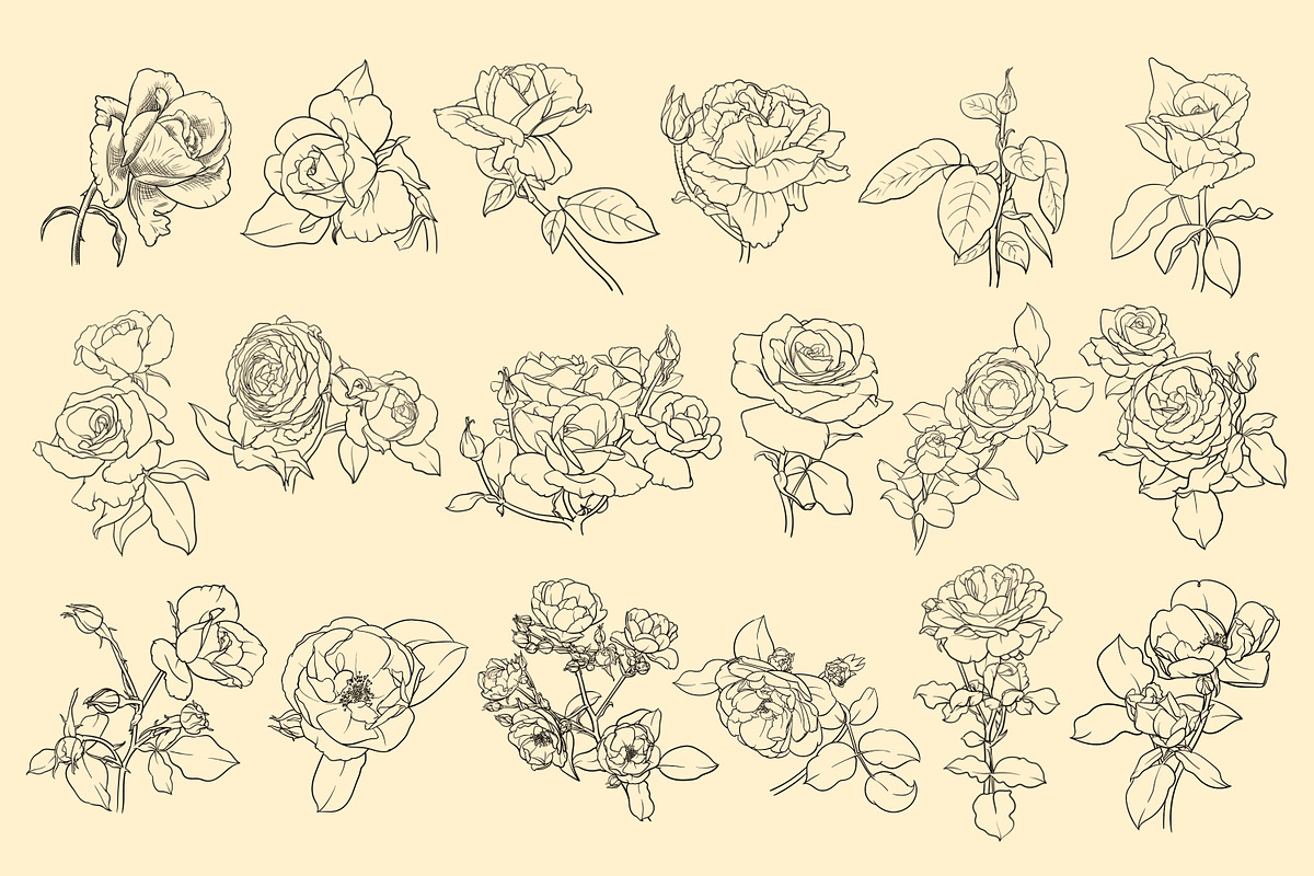 Rose flowers procreate stamp brushes, a Brush Add-On by ViktoriArt (Photo 2 of 6)