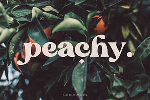 Blanch Sage - Retro Font