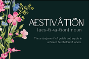 Glorya Modern Stylish, a Sans Serif Font by Say Studio (Thumbnail 21 of 25)