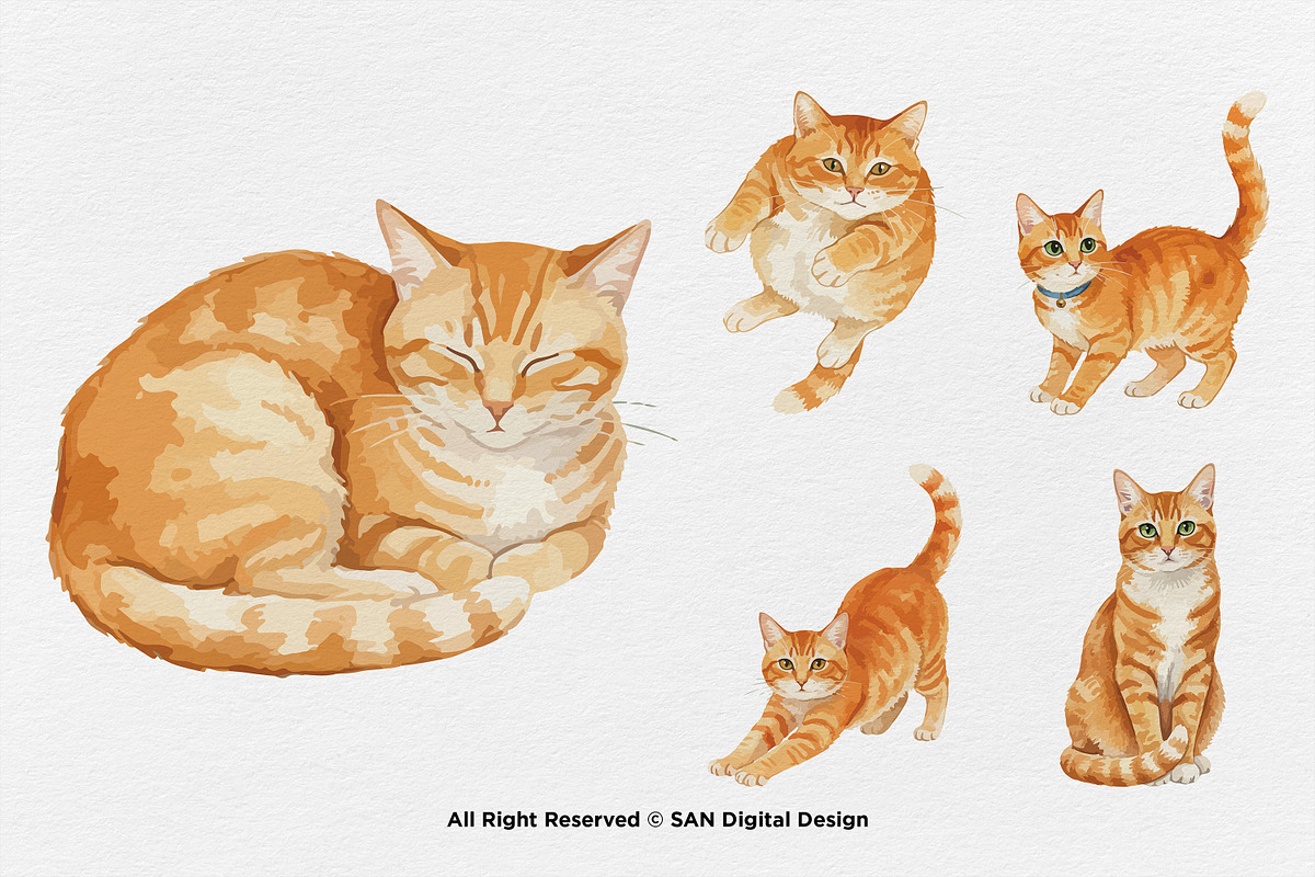 15 Bundle Watercolor Orange Cats Pet, an Animal Illustration by Morspective (Photo 5 of 8)