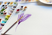 Watercolor Translucent Tulip Vector, a Pattern Graphic by Deckar_art (Thumbnail 4 of 5)