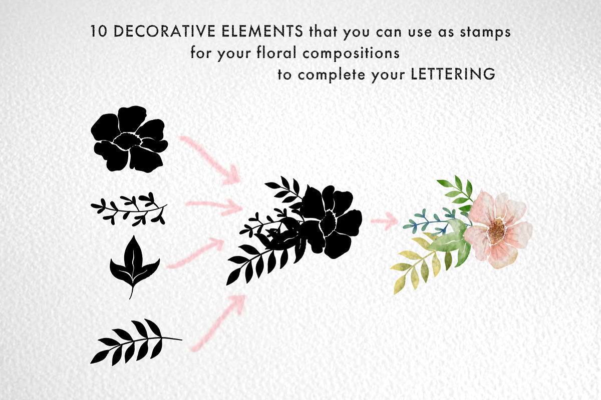 Watercolor Lettering Kit, a Brush Add-On by Letter Elfa Studio (Photo 7 of 11)