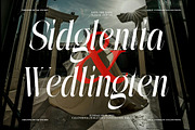 The Simple Editorial | 15 Style Font, a Serif Font by IM Studio (Thumbnail 6 of 12)