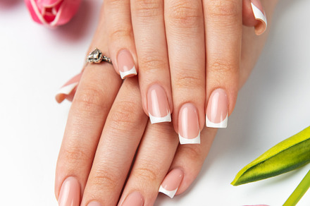 Woman showing french manicure and pink tulips on white backgroun