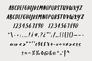 Stella Caps: A Handlettered Font, a Script Font by Maggie Waller (Thumbnail 4 of 4)