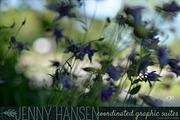 Photo Bundle: Mysterious Foliage preview 2